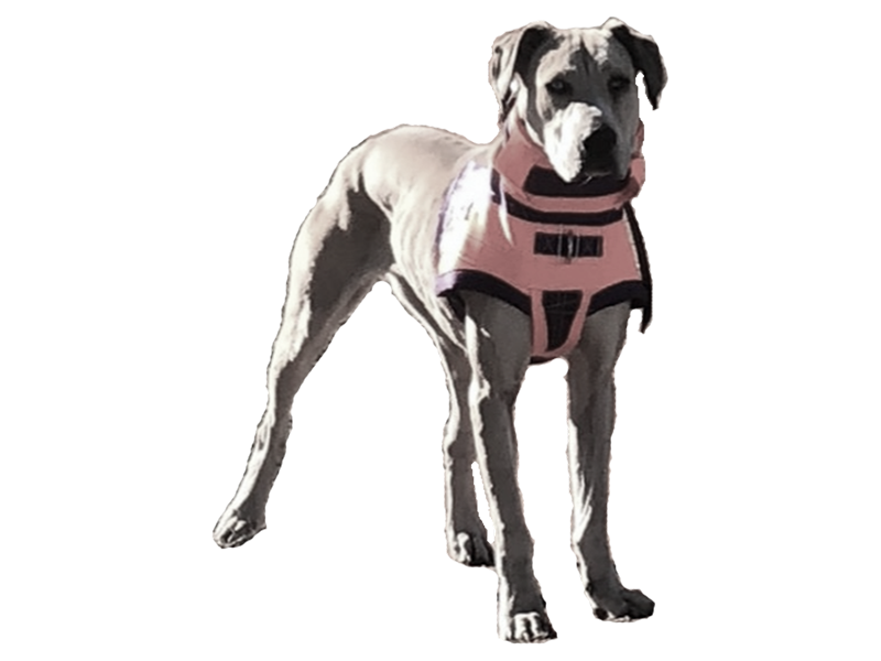 Eagleye Hunting Gear Australia